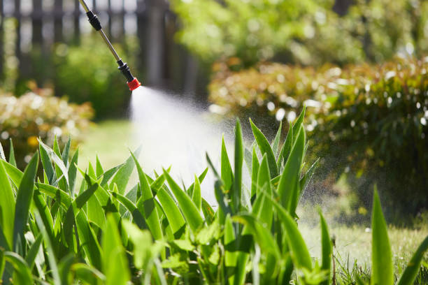 24/7 Emergency Mosquito Control experts in Yorketown, NJ
