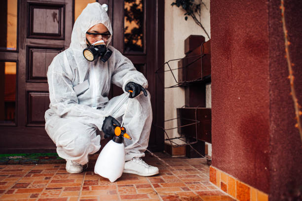 Reliable Mosquito Control contractor in Yorketown, NJ by Show Me Pest Control
