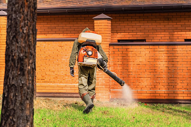 Top rated local Mosquito Control specialists in Yorketown, NJ